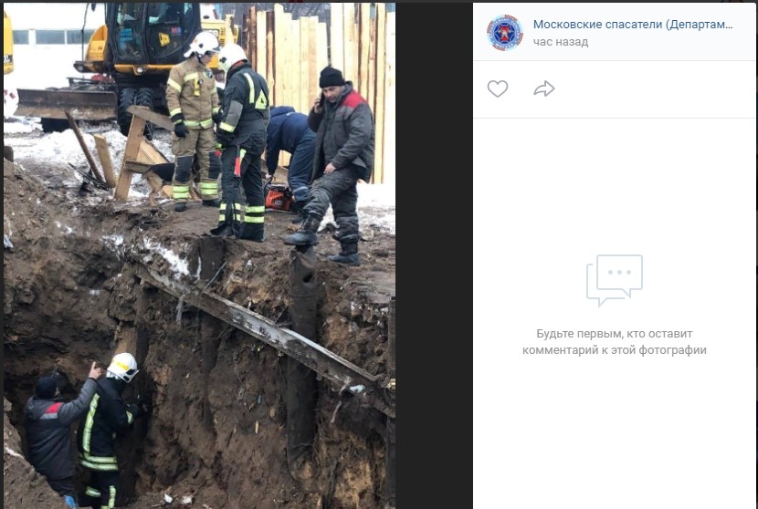 На Полбина поисковики-добровольцы спасли от гибели трех щенят