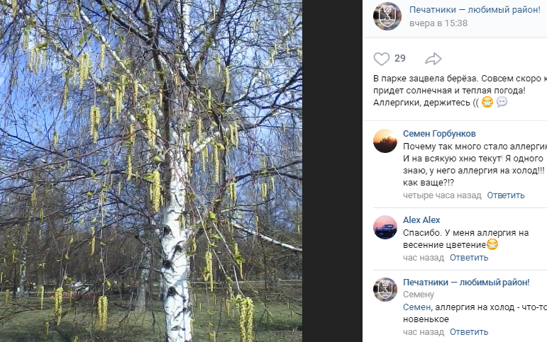 Фото дня: в парке Печатников березы украсили &#171;сережки&#187;