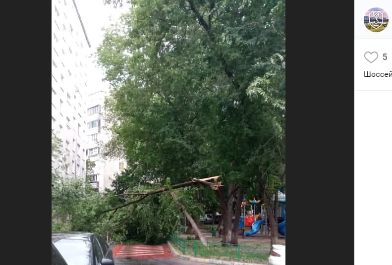 Сильный ветер обрушил дерево во дворе на Шоссейной